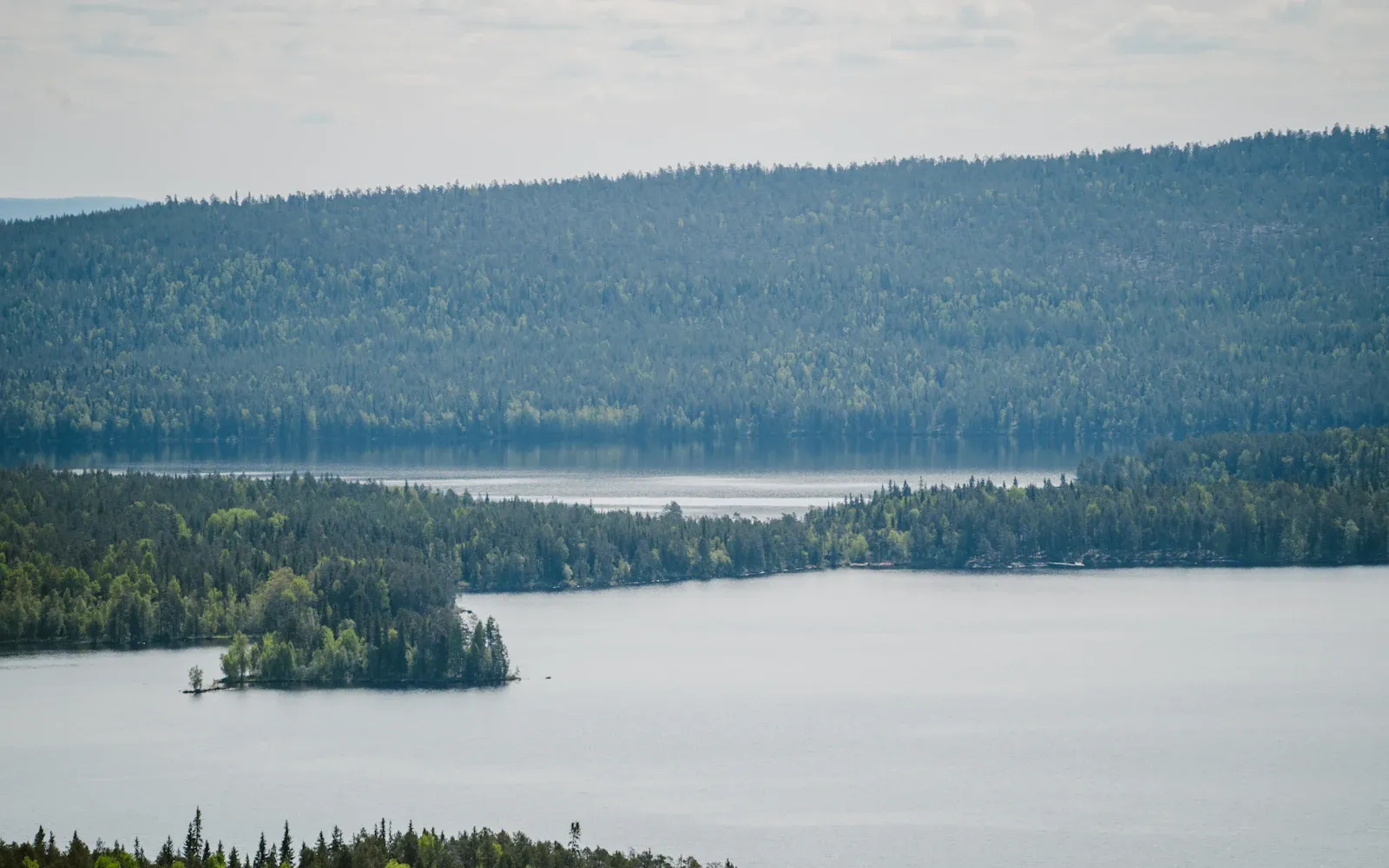 Järvimaisema ylhäältä: metsäisiä niemiä ja saaria.